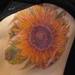 tattoo galleries/ - sunflower tattoo
